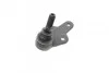 Опора шаровая (передняя/снизу) Ford Focus II 1.4-2.0TDCi 04-12/C-Max 07-10/Volvo C30/C70/S40 04- LEMFORDER 30461 03 (фото 4)