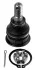 Кульова опора NISSAN Almera Tino (V10)/Cefiro/Maxima/Primera(P12) "F "00>> LEMFORDER 34510 02 (фото 1)