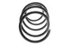 Пружина (передняя) BMW X3 (E83) xDrive 18d/20d/25i/30i 00-11 (SUV) (без М-техн.) LESJOFORS 4008457 (фото 4)