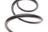 Пружина (передняя) BMW 7 (E65/E66/E67) 730d/735i,Li/745i,Li 01-08 (седан) LESJOFORS 4008468 (фото 3)