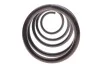 Пружина (передняя) BMW 7 (E65/E66/E67) 730d/735i,Li/745i,Li 01-08 (седан) LESJOFORS 4008468 (фото 4)