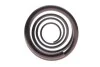 Пружина (передняя) BMW 7 (E65/E66/E67) 730d/735i,Li/745i,Li 01-08 (седан) LESJOFORS 4008468 (фото 5)