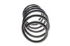 Пружина (передня) BMW i3 (I01) Electric/Range Extender 13- (хетчбек) LESJOFORS 4008546 (фото 4)