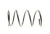 Пружина (передняя) Mitsubishi Grandis 2.0DI-D 05-10 (вэн) LESJOFORS 4059238 (фото 4)