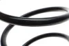 Пружина (передняя) Nissan Qashqai 1.6 07-13 (SUV) (кроме осн:Qashqai+2) LESJOFORS 4062060 (фото 3)