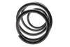 Пружина (передня) Nissan Juke 1.5dCi/1.6DIG-T 10-19 (SUV) LESJOFORS 4062081 (фото 4)