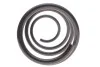 Пружина (передняя) Renault Laguna III 2.0 16V Turbo/2.0dCi 07-15 (универсал/накл.зад.часть) LESJOFORS 4072978 (фото 4)