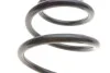 Пружина (передняя) VW Caddy III 1.9TDI/2.0TDI 04-15 (фургон/вэн) LESJOFORS 4095075 (фото 2)