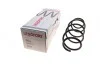 Пружина (передня) VW Polo 1.4TDI 01-09 (осн. BlueMotion)/Fox 1.2/1.4 05-11 (нах.зад.частина) LESJOFORS 4095087 (фото 1)
