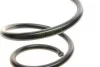 Пружина (передня) VW Tiguan 2.0TDI 4motion/Skoda Karoq 2.0TDI 4x4/Kodiaq 2.0TDI 4x4 АКПП 16- (SUV) LESJOFORS 4095143 (фото 2)