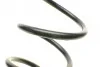 Пружина (задняя) BMW 5 (G30/F90) 520i-540i/520d/530d 16- (седан) (спорт.ход.ч.) (без кинем.зад.оси) LESJOFORS 4208524 (фото 2)