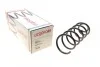 Пружина (задняя) Opel Vectra B 1.6-2.0/2.0-2.2DTI 95-02 (сед./хетч)(с пост.d)(без с-мы рег.дор.)(HD) LESJOFORS 4263472 (фото 1)