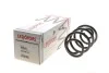 Пружина (задняя) Renault Clio III/Modus 1.2-2.0 16V/1.5dCi 04- (универсал/накл.зад.часть) LESJOFORS 4272927 (фото 1)