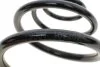 Пружина (задняя) Opel Astra G 1.2-2.2 16V/1.7-2.0 CDTI/DI 98-09 (унив./фургон) (с не пост.диам.) LESJOFORS 5263438 (фото 2)