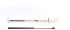 Амортизатор капота MB C-class (W203/S203) 00-07/CLK (C209) 02-09 (L) (седан/унив.)(выталк.сила 280N) LESJOFORS 8056807 (фото 1)