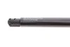 Амортизатор крышки багажника MB B-class (W245) 05-11 (R) (хэтчбэк) LESJOFORS 8156812 (фото 3)
