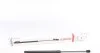 Амортизатор кришки багажника Opel Corsa C 00-12 (фургон/нах.зад.частина) LESJOFORS 8163443 (фото 1)