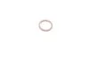 Уплотняющее кольцо (O-ring) MAGNETI MARELLI 007950024400 (фото 3)