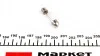 Автолампа Magneti Marelli C5W SV8,5-8 5 W прозрачная MAGNETI MARELLI 009423100000 (фото 2)