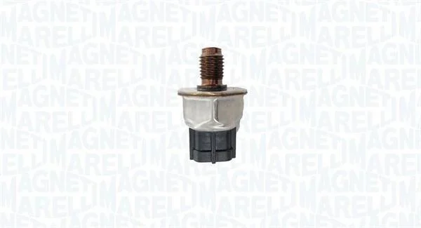 Елемент системи Common Rail MAGNETI MARELLI 215810015500 (фото 1)