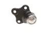 Опора кульова (передня/знизу) Citroen Berlingo/Peugeot Partner 96- MAGNETI MARELLI 301191619380 (фото 2)