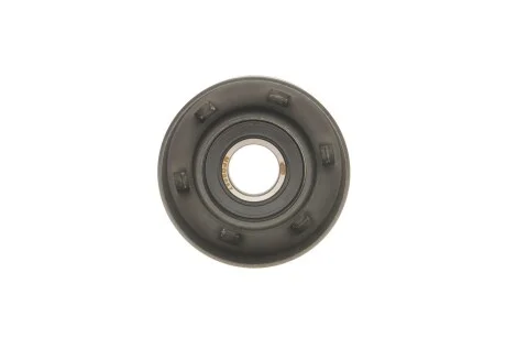 Ролик генератора Renault Clio III/Megane II//Scenic II 2.0 1.6V/1.9dCi 03- (натяжний) (65x30) (MPQ0087) MAGNETI MARELLI 331316170087