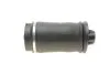 Подушка пневмоподвески (сзади) MB (W164) ML MAGNETI MARELLI 350072600002 (фото 4)