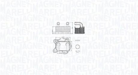 Охолоджувач мастила MAGNETI MARELLI 350300002000