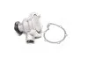 Водяний насос (Вир-во Magneti Marelli кор.код. WPQ0039) MAGNETI MARELLI 352316170039 (фото 1)