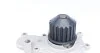 Помпа воды Chrysler Neon/Cirrus 2.0 94- MAGNETI MARELLI 352316170085 (фото 6)