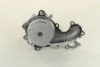 Помпа воды Ford Connect 1.8DI/TDCI (WPQ0165) MAGNETI MARELLI 352316170165 (фото 3)