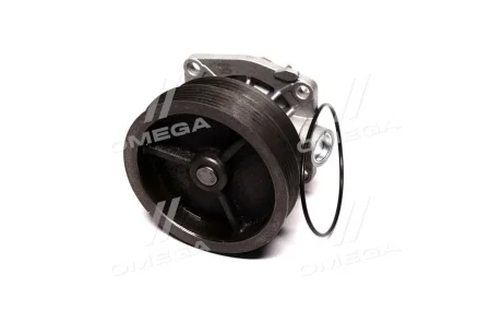 Водяной насос (Выр-во Magneti Marelli кор.код. WPQ0303) MAGNETI MARELLI 352316170303