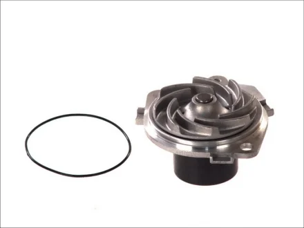 Водяний насос (Вир-во Magneti Marelli кор.код. WPQ0317) MAGNETI MARELLI 352316170317