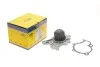 Водяний насос (Вир-во Magneti Marelli кор.код. WPQ0569) MAGNETI MARELLI 352316170569
