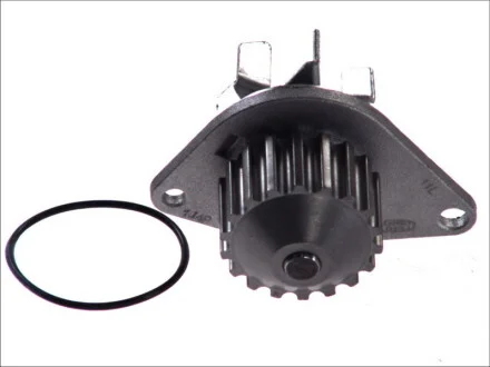 Водяний насос (Вир-во Magneti Marelli кор.код. WPQ0904) MAGNETI MARELLI 352316170904