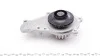 Помпа воды Citroen Berlingo/Fiat Scudo 1.6HDI (19z) MAGNETI MARELLI 352316170919 (фото 6)