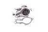 Водяной насос (Выр-во Magneti Marelli кор.код. WPQ1005) MAGNETI MARELLI 352316171005 (фото 1)