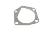 Помпа воды Skoda Favorit 1.3 89-95 MAGNETI MARELLI 352316171027 (фото 12)
