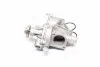 Водяной насос (Выр-во Magneti Marelli кор.код. WPQ1185) MAGNETI MARELLI 352316171185 (фото 1)