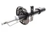 Амортизатор (передний) Renault Clio III 05-14 (GAS) MAGNETI MARELLI 356502070000 (фото 3)