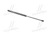 Амортизатор багажника VOLKSWAGEN Bora (вір-во Magneti Marelli кор.код. GS0131) MAGNETI MARELLI 430719013100 (фото 3)