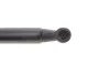 Амортизатор крышки багажника Renault Megane/Scenic 96-03 MAGNETI MARELLI 430719015200 (фото 5)