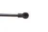 Амортизатор крышки багажника Renault Laguna II 01- MAGNETI MARELLI 430719018900 (фото 4)