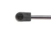 Амортизатор кришки багажника Ford Focus II 04-12 MAGNETI MARELLI 430719040800 (фото 4)