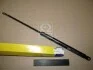 Амортизатор багажника MAGNETI MARELLI 430719041200 (фото 2)