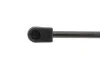 Амортизатор крышки багажника Citroen C5 01- MAGNETI MARELLI 430719053500 (фото 2)