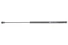 Амортизатор кришки багажника Renault Laguna II 1.6-3.0/1.9dCi 01- (GS0547) MAGNETI MARELLI 430719054700 (фото 1)