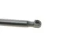 Газова пружина, кришка капота MAGNETI MARELLI 430719067300 (фото 4)