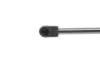 Амортизатор крышки багажника VW Touran 03-10 MAGNETI MARELLI 430719080900 (фото 3)