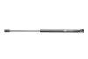 Амортизатор крышки багажника Audi A6 05-11 MAGNETI MARELLI 430719081200 (фото 1)